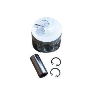 Piston avec pin 3TNV70