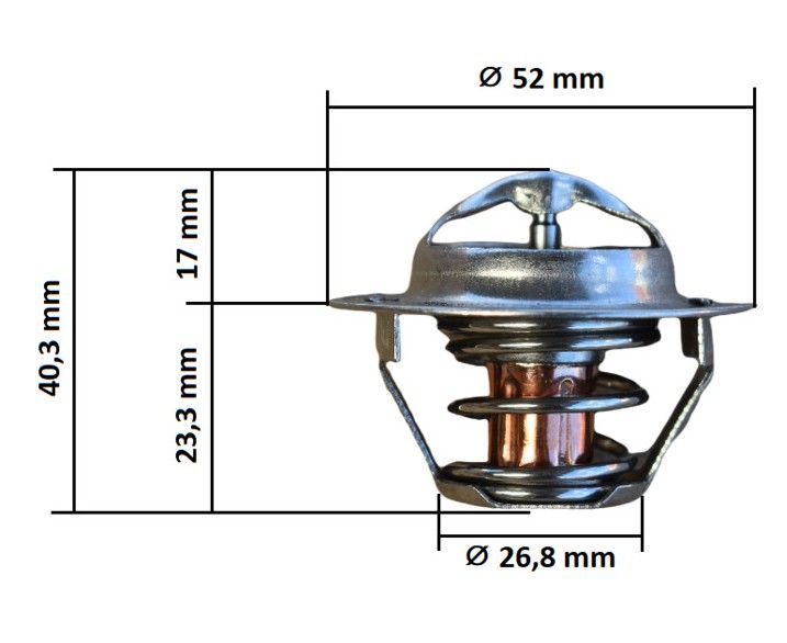 Thermostat Iseki AT, TA, TF, TG, TH, TM, TU, moteurs E3AD1, E3AE1,... (76,5°C) – Image 2